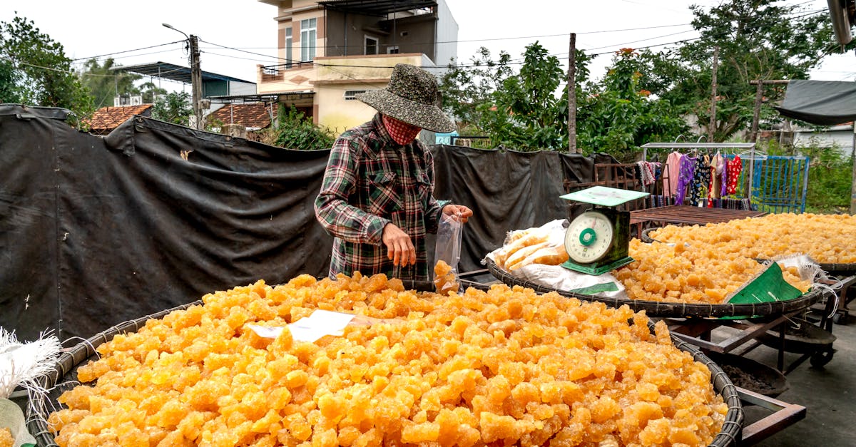 découvrez comment la production alimentaire locale favorise la fraîcheur, soutient les producteurs de votre région et contribue à une alimentation plus durable. guide complet sur les avantages et solutions pour consommer local.