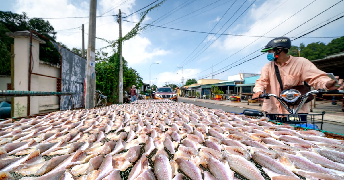 découvrez comment la production alimentaire locale favorise l’économie, la fraîcheur des produits et la durabilité environnementale dans votre région.