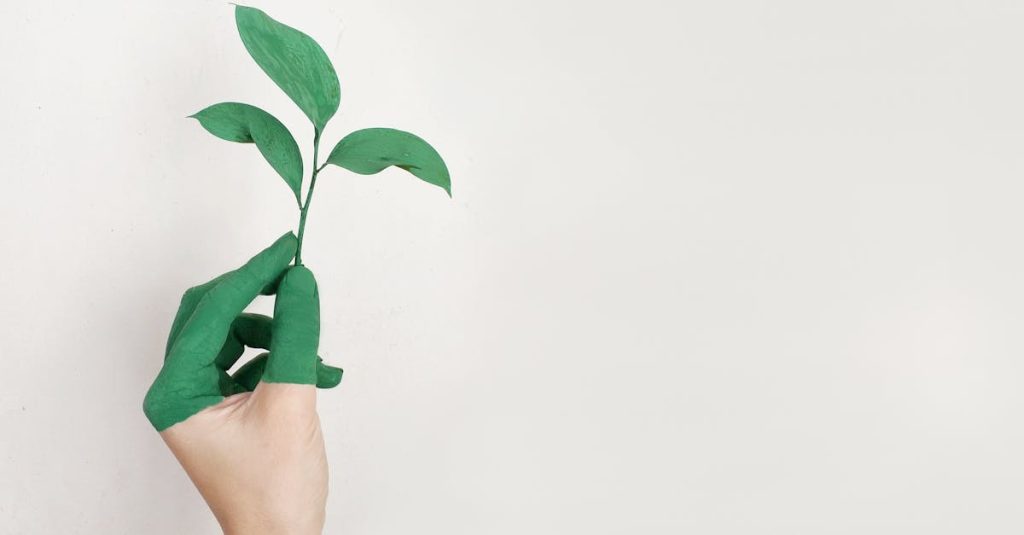 découvrez comment adopter un mode de vie durable grâce à des conseils pratiques, des initiatives écologiques et des solutions innovantes pour préserver l'environnement au quotidien.