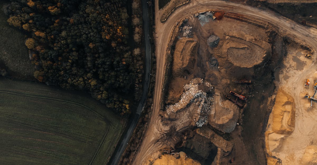 découvrez la gestion durable des forêts : principes, avantages et solutions pour préserver la biodiversité, lutter contre le changement climatique et assurer une exploitation responsable des ressources forestières.