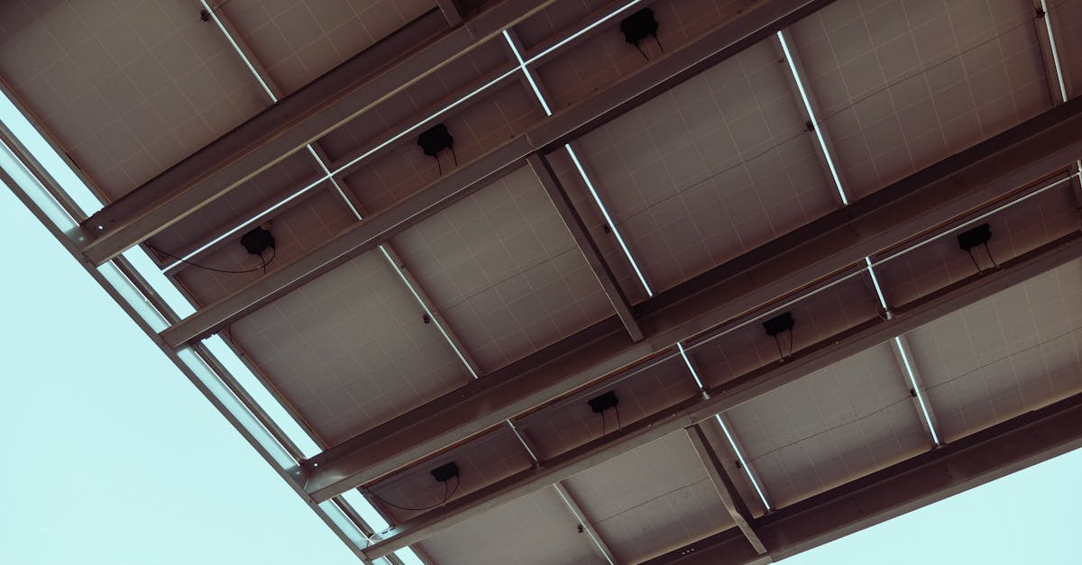 découvrez les dernières innovations durables qui transforment notre quotidien et contribuent à un avenir plus respectueux de l'environnement. solutions éco-responsables, technologies vertes et initiatives pour un monde meilleur.