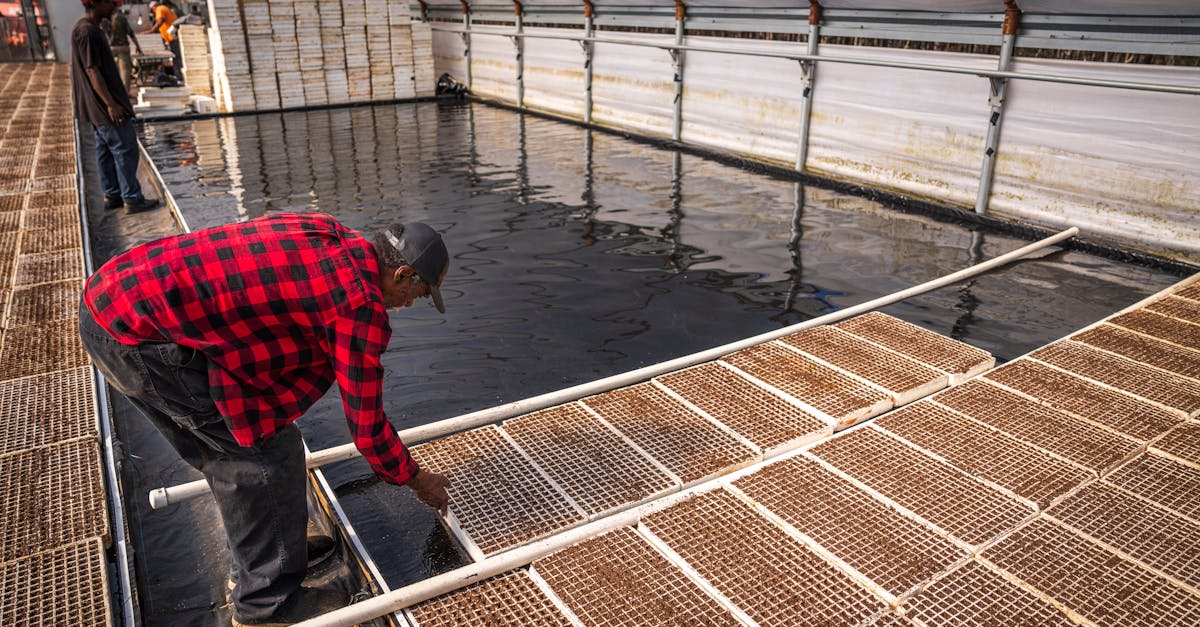 découvrez tout sur les ressources en eau : leur importance, les enjeux de gestion durable, et les solutions pour préserver cette ressource vitale face au changement climatique et à la croissance démographique.