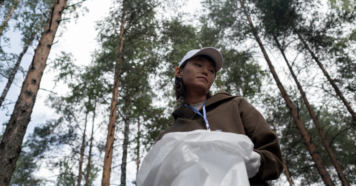 découvrez les initiatives écologiques innovantes pour préserver l'environnement, adopter des pratiques durables et agir concrètement pour un avenir plus vert.