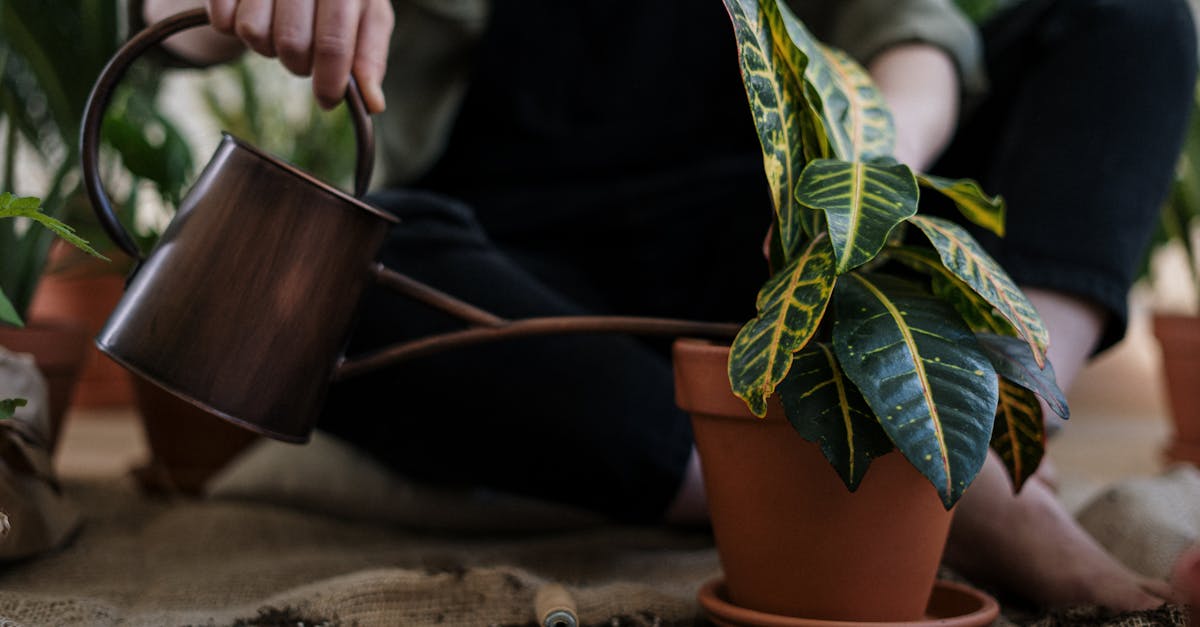 découvrez des conseils et des astuces pratiques pour adopter un mode de vie durable, réduire votre impact environnemental et contribuer à préserver la planète au quotidien.