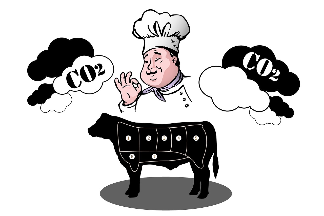 d&eacute;couvrez des strat&eacute;gies efficaces pour r&eacute;duire votre empreinte carbone et contribuer &agrave; la protection de l'environnement gr&acirc;ce &agrave; des actions durables et responsables.