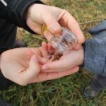 d&eacute;couvrez comment cr&eacute;er un jardin urbain en permaculture pour cultiver durablement vos l&eacute;gumes et plantes en ville tout en respectant l'environnement.