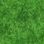 d&eacute;couvrez notre emballage alimentaire &eacute;cologique, r&eacute;utilisable et respectueux de l'environnement pour conserver vos aliments frais tout en r&eacute;duisant les d&eacute;chets plastiques.