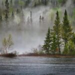 d&eacute;couvrez l'importance de la biodiversit&eacute; pour l'&eacute;quilibre des &eacute;cosyst&egrave;mes et la survie de notre plan&egrave;te. apprenez comment prot&eacute;ger la richesse naturelle qui nous entoure.
