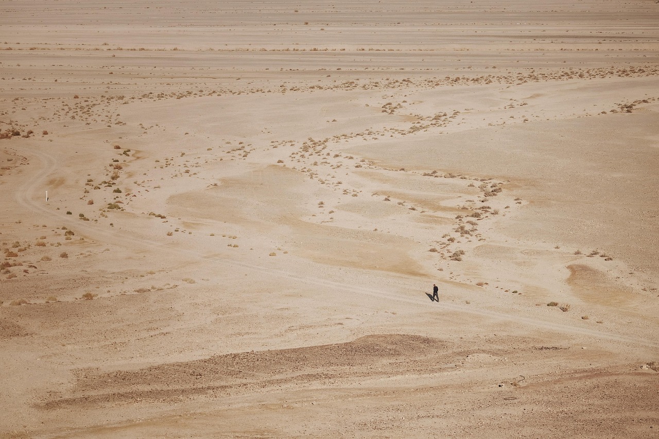 d&eacute;couvrez le minimalisme, un art de vivre qui privil&eacute;gie la simplicit&eacute;, l'essentiel et l'harmonie pour une vie plus &eacute;quilibr&eacute;e et sereine.